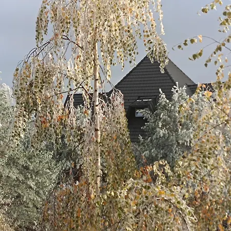 Forest Nest * Divčibare