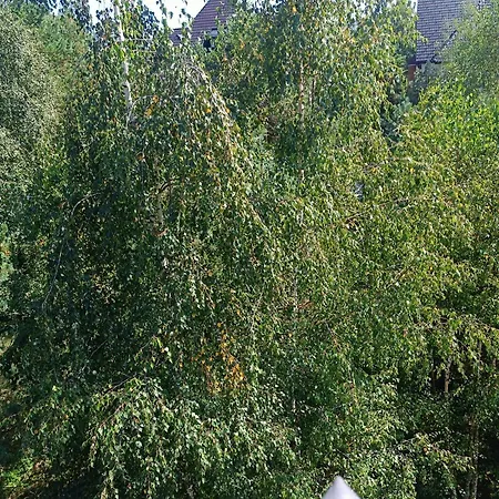 Forest Nest 아파트